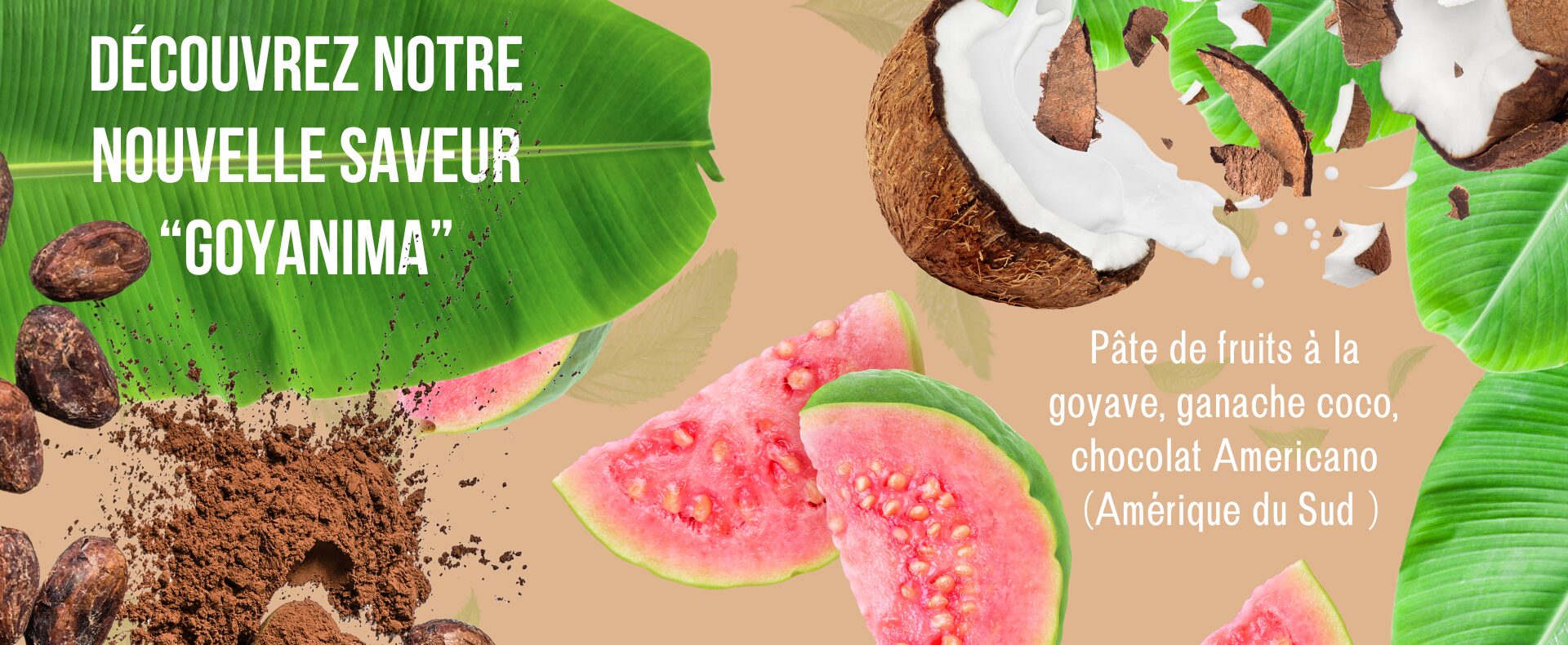 Nouvelle Carte des saveurs La Canopée de Criollo Chocolatier Toulouse - Saveur Goyanima - Pâte de fruits goyave - Ganache noix de coco