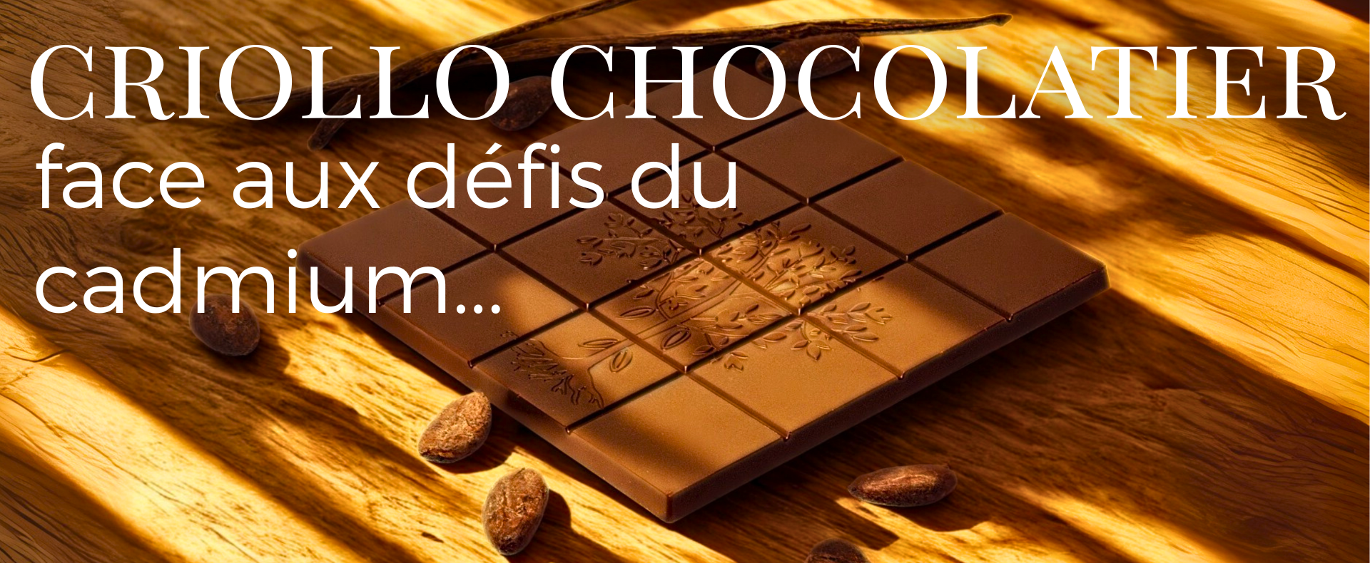Dégustation chocolat