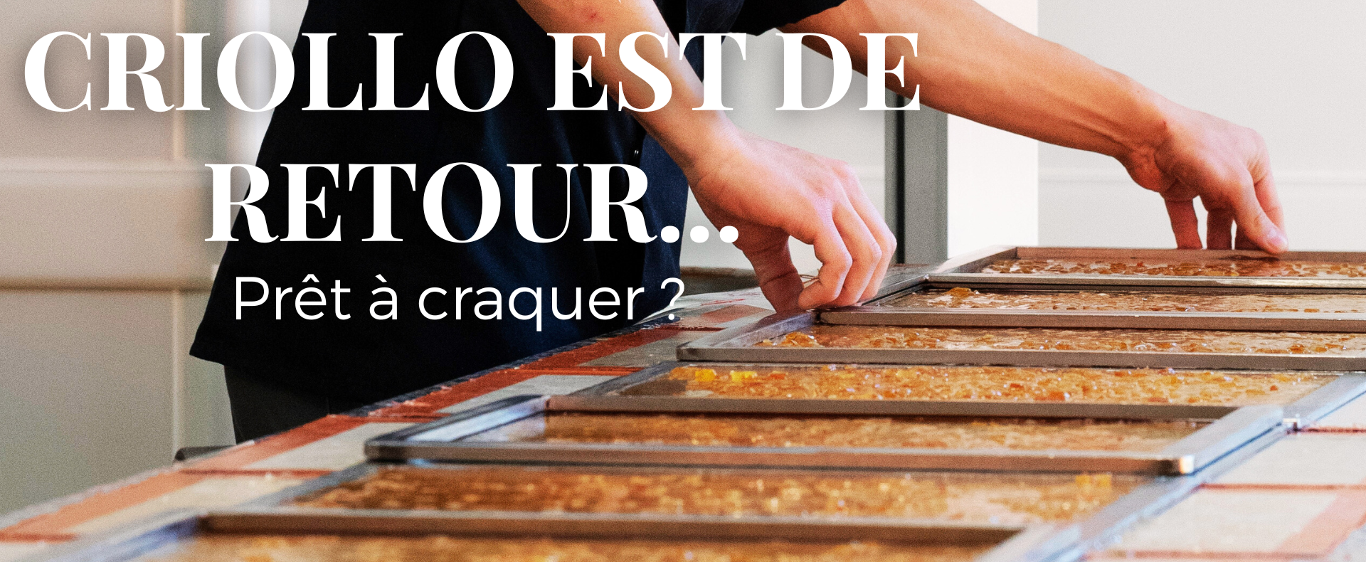 Dégustation chocolat