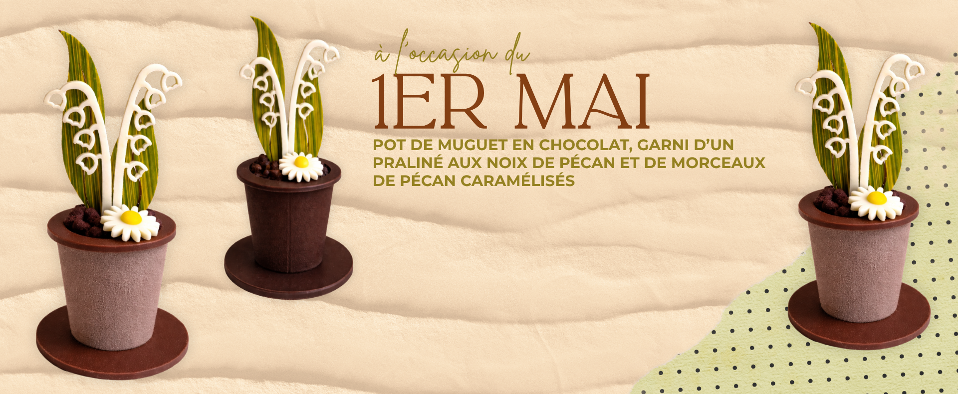 Dégustation chocolat