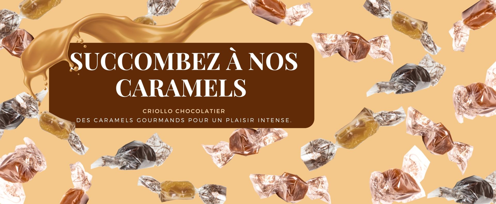 Dégustation chocolat