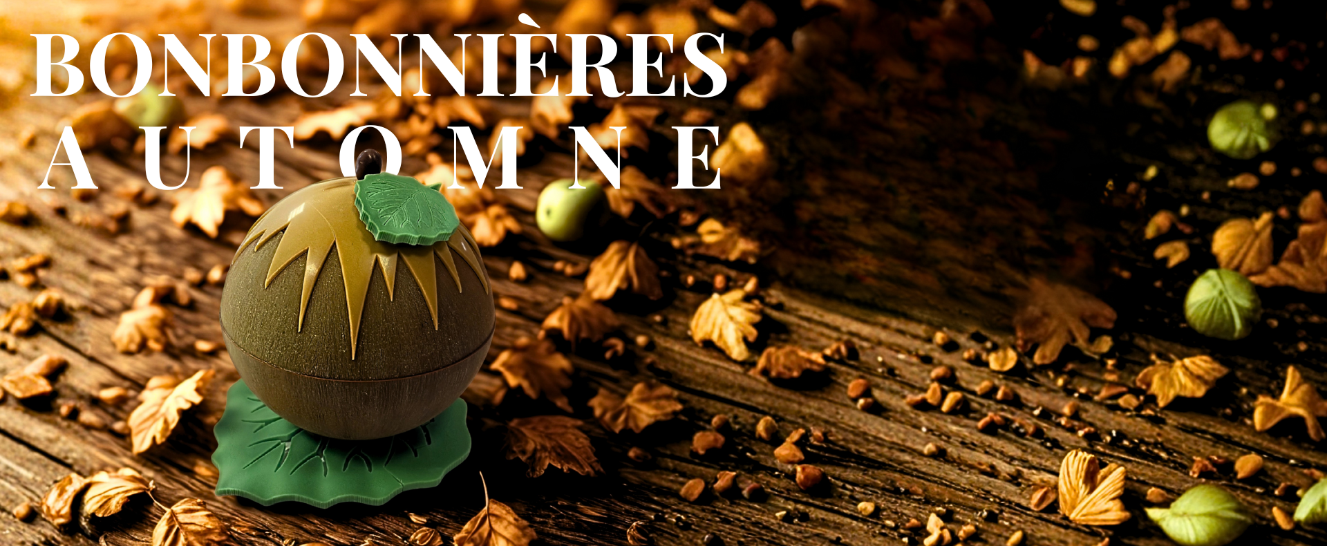 Dégustation chocolat