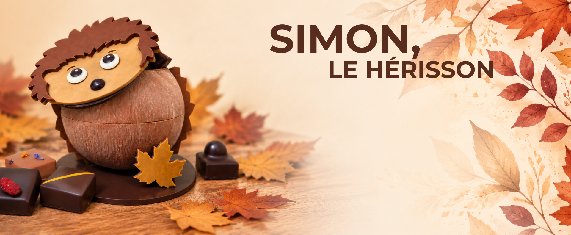 Dégustation chocolat